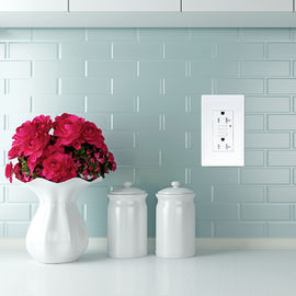 LD -U001 4.2A Smart High Speed USB Charger Outlet 2 USB Ports With 2 Wall Plates