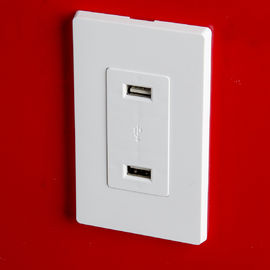 LD-U001 4.2A Smart High Speed USB Charger Outlet , 2 USB Ports with 2 Wall Plates