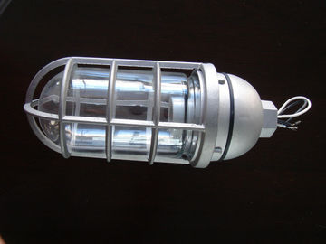 Explosionproof Die-Cast Aluminum  Vapor Proof Lights, Vapor Proof Lighting Fixture (BV)