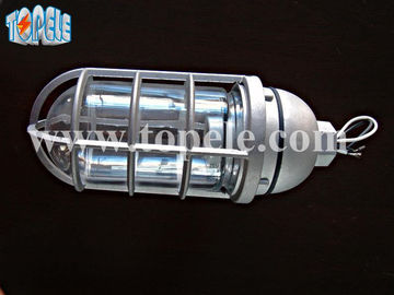 100W 220V Brozen Gray IP65  Vapor Proof Lights Die - Cast Aluminum